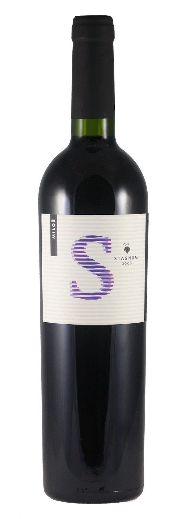 2008 Miloš Stagnum