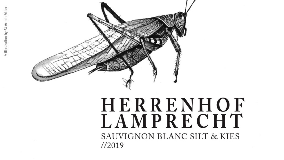 2019 Herrenhof Lamprecht Sauvignon Blanc Silt & Gravels