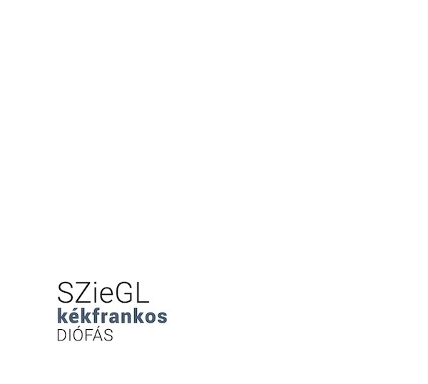 2019 Sziegl Kékfrankos Diófás