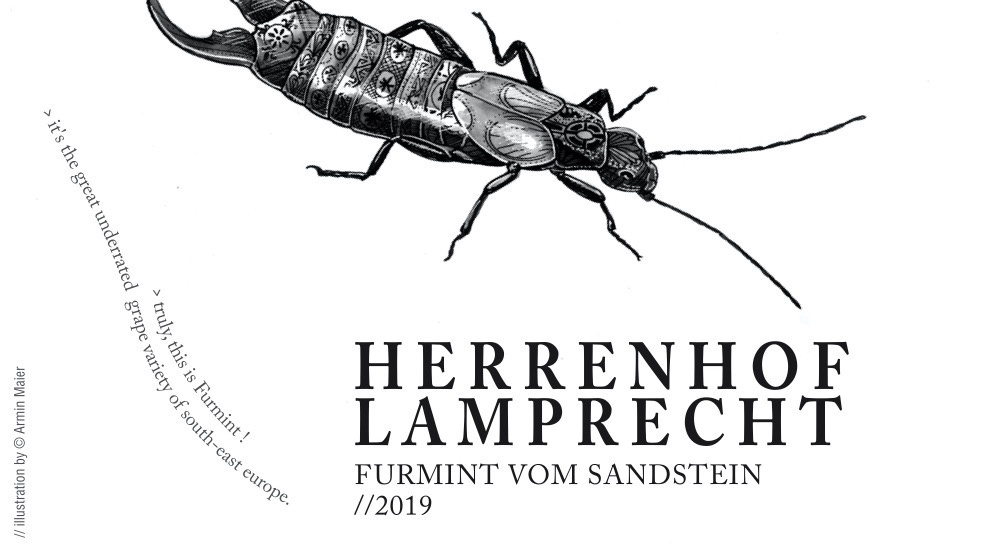 Herrenhof LamprechtFurmint of Sandstones Doppler 2020