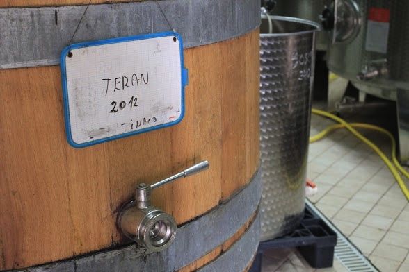 Teran in Barrel