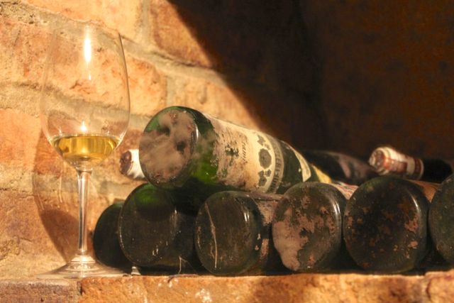 Geyerhof bottles in cellar