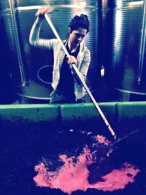 Punchdown in the cellar