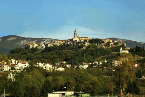 buzet
