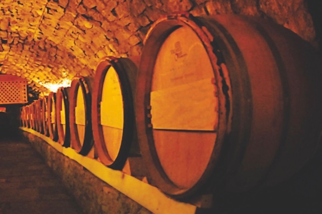 Monastery Tvrdos Cellar