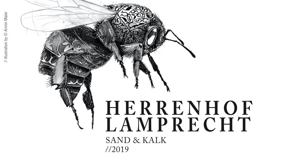 Herrenhof LamprechtPinot Blanc Sand & Lime 2020