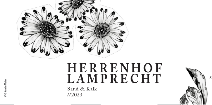 Herrenhof LamprechtPinot Blanc Sand & Lime 2023