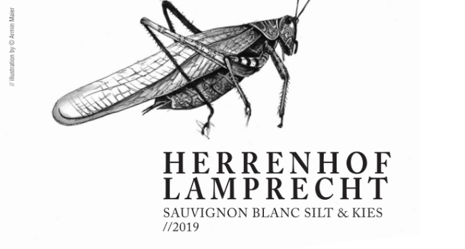 Herrenhof LamprechtSauvignon Blanc Silt & Gravels 2024