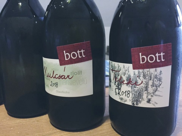 Discover Hungarian Wine: Bott Pince