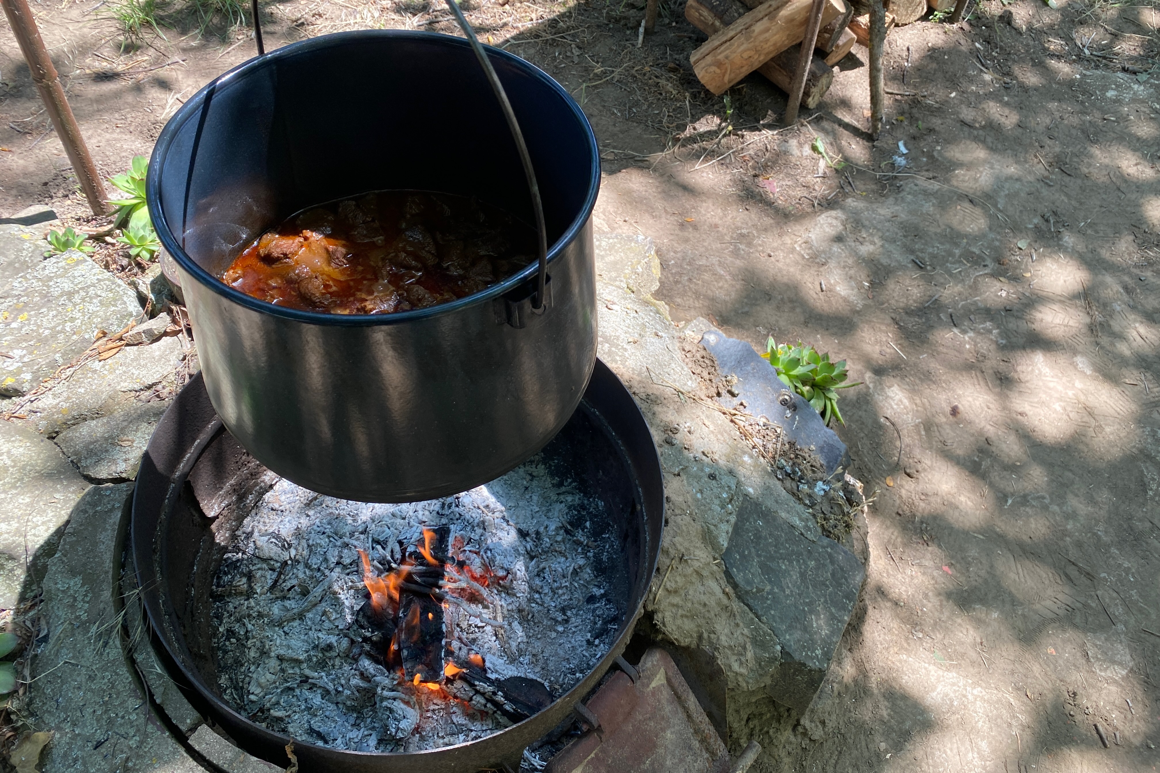 Grey cattle stew