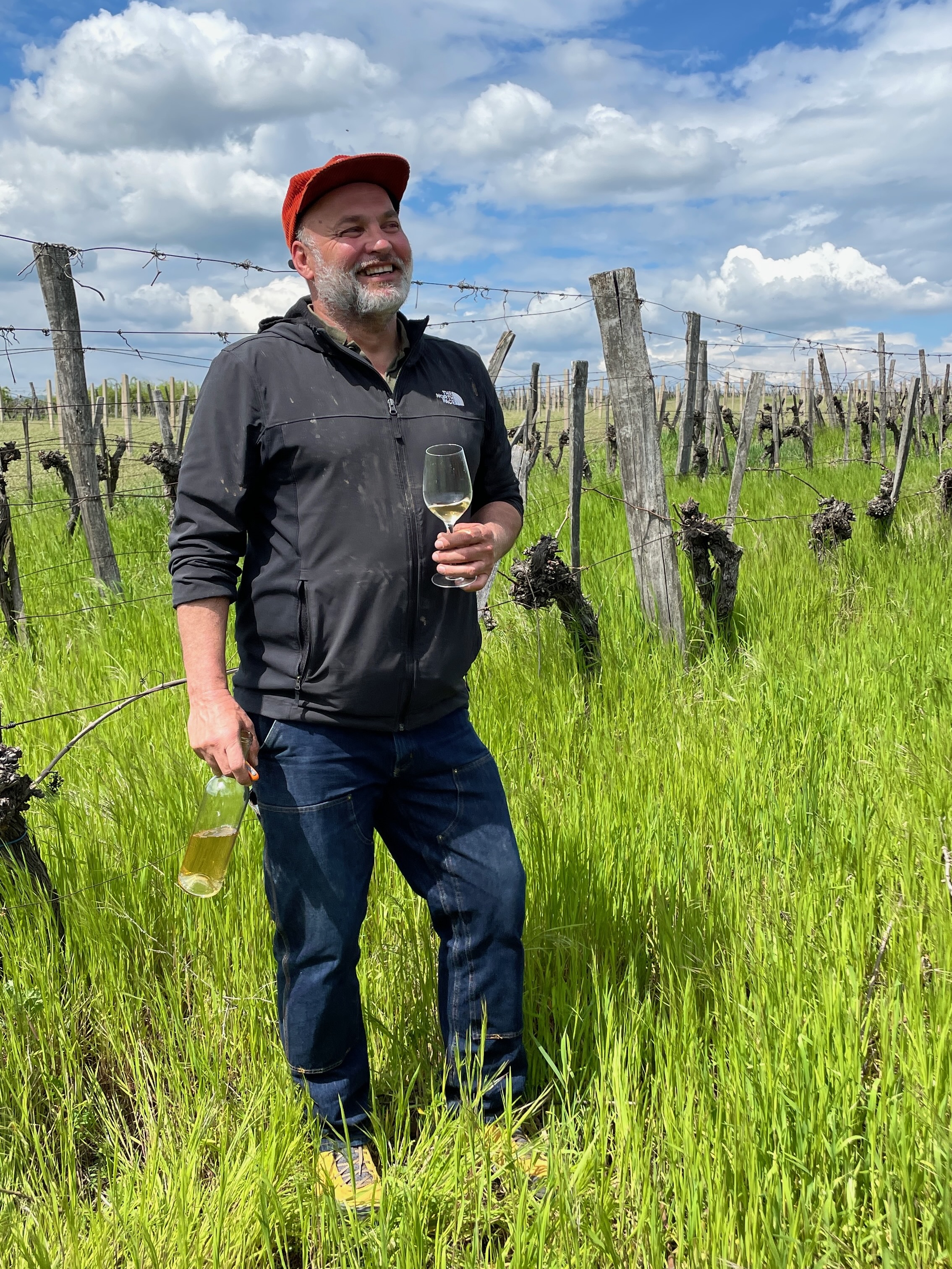 Norbi in the Pittyén vineyard