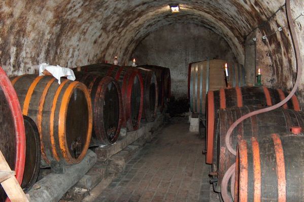 Fekete Cellar