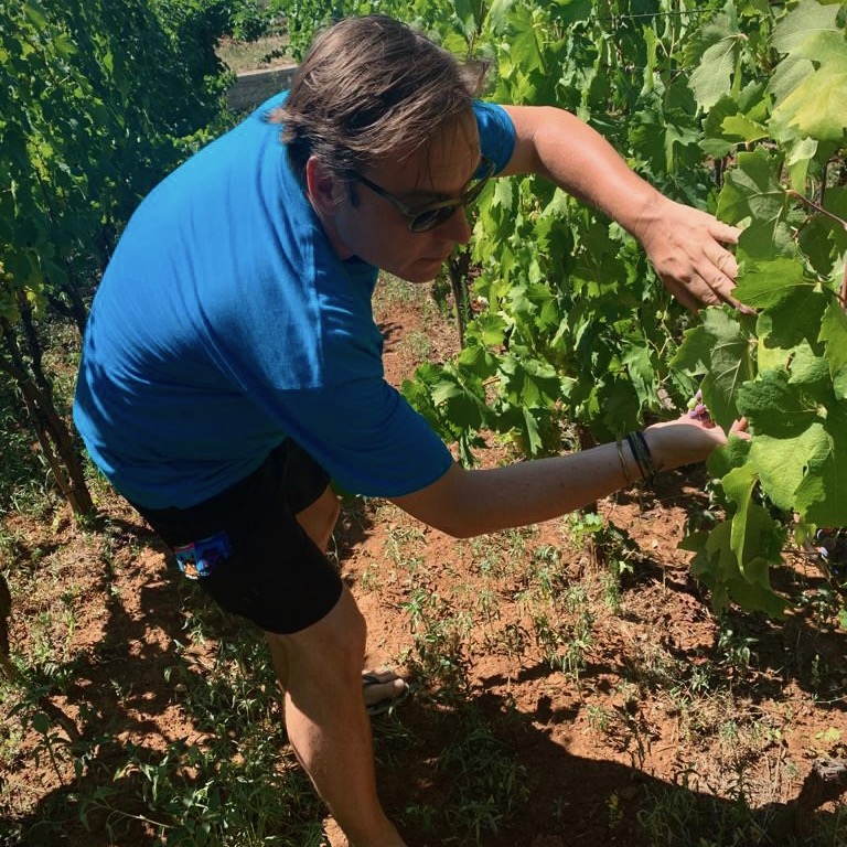 Marko Kovac in the vineyard